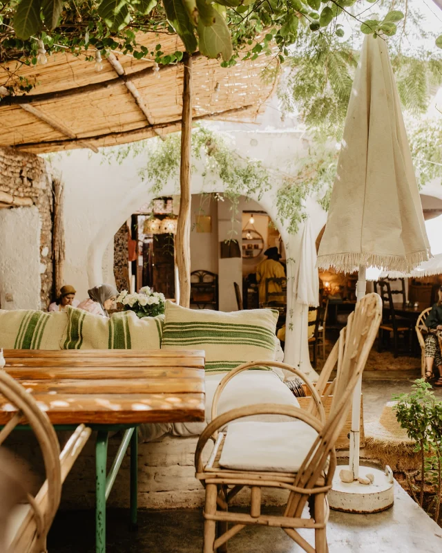 • TUIN INSPIRATIE •
Even wat heerlijke tuin inspiratie voor de zomerse dagen die gaan komen! De foto’s schoot ik op mijn favoriete plek @la_famille_marrakech! Ik mis dit gewoon echt oprecht! Want wauw die rust daar en die styling, love it! Alles klopt gewoon! Grote inspiratie voor mijn achtertuin van dit jaar haha. Nu nog even met de (nog niet zo) groene vingers aan de slag. •
•
•
•
•
•
#tuinideeën #tuin #garden #seasons #homeandgardens #marrakech #lafamille #inspiration #styling #photography #owncollection #beetje